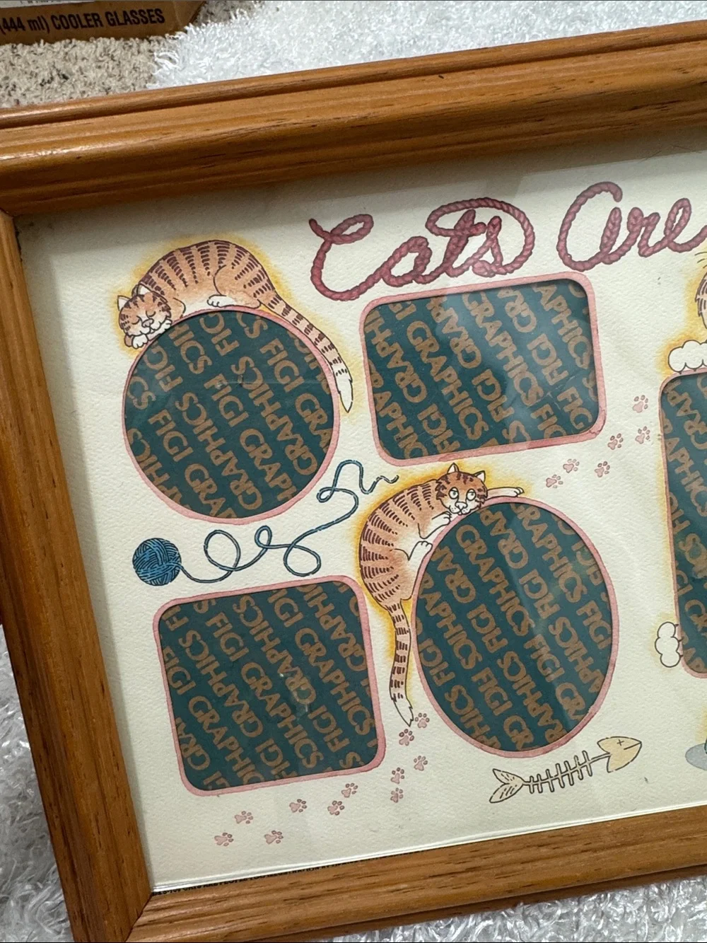 Framed picture holder for cats only!